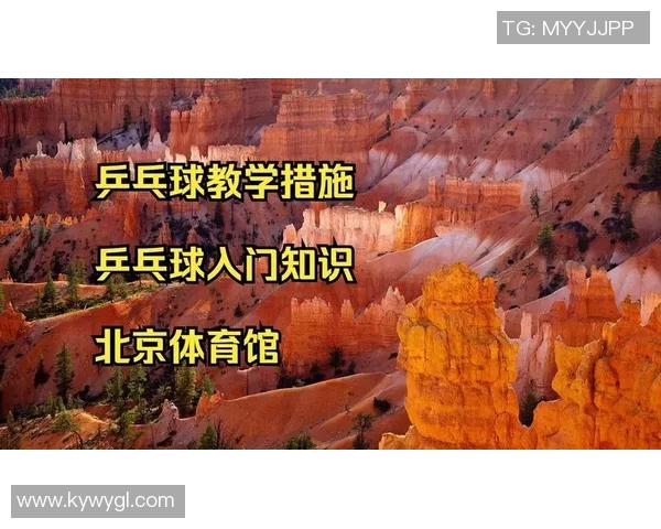 乒乓球新手必看：轻松入门的状态调整与技巧提升指南