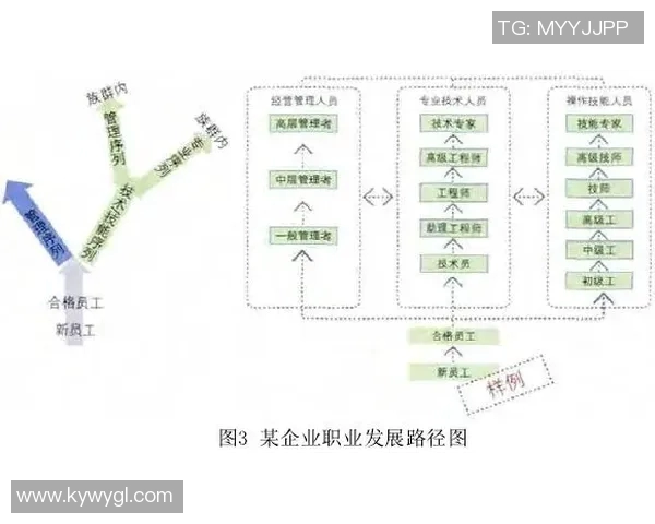 广州排球队的意识探讨与发展路径研究分析