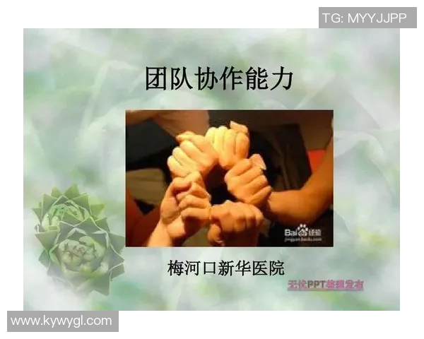 南京排球队的团队协作与默契配合的成功之道探讨