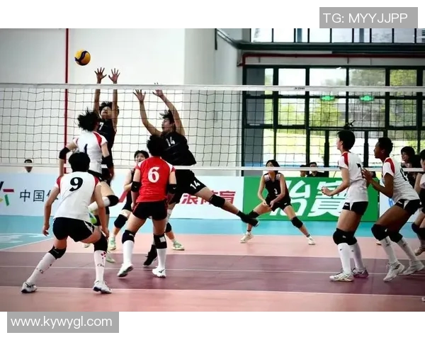 上海排球队引领最新排球节奏榜单前十名精彩表现回顾